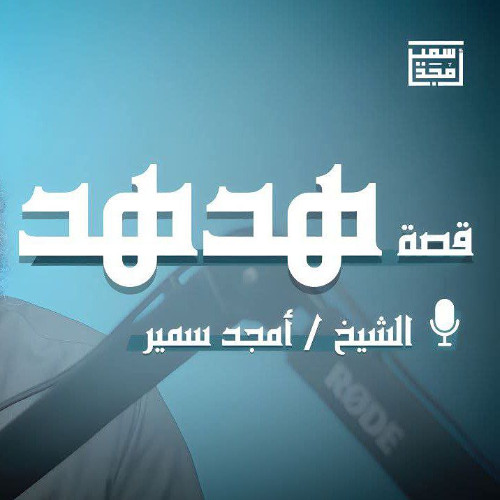 قصة هدهد | تأملات في سورة النمل - الشيخ أمجد سمير