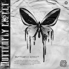 BUTTERFLY EFFECT w/MXRC