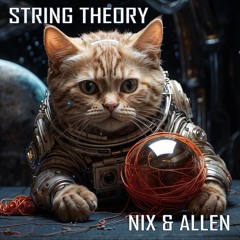String Theory (Nix & Allen)