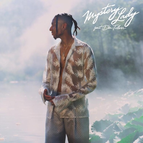 Mystery Lady Remix Challenge (SpaceCadet Remix)