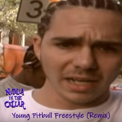 Young Pitbull Freestyle (Remix)