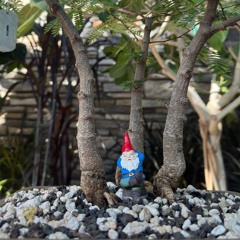 Norte dame lights (slowed)