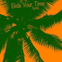 Bide Your Time