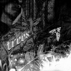 TREES (JALOBAN X TRILL HOLLOW)