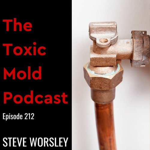 EP 212: Black Mold and Water Valves