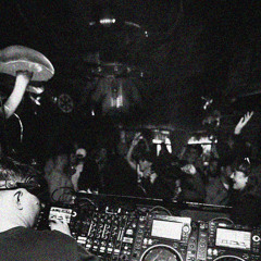 DISTRACTED IN THE WILD