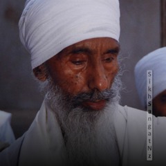 ਆਵਹਿ ਨ ਜਾਹਿ ਨ ਕਬਹੂ ਮਰਤੇ ਪਾਰਬ੍ਰਹਮ ਸੰਗਾਰੀ ਰੇ ॥ Dhan Dhan Baba Thakur Singh Ji