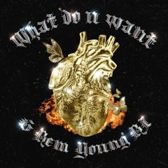 What Do You Want - Young B.I ft GBem [TrillaB x 66Peace]