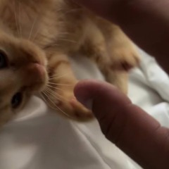 ParanoidValley (Prod.N/A)