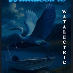 MIGI KARBAI 🔥🎶