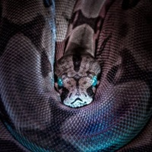 Cold-Blooded(Prod.Eazy-A)