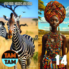TAM TAM 14 | Afro House & Melodic Afro House
