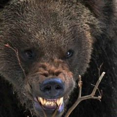 100ЯН - Развршли (prod By GND)