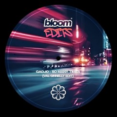 Gadjo - So Many Times [Val Ginnelly Edit] (Free Download)