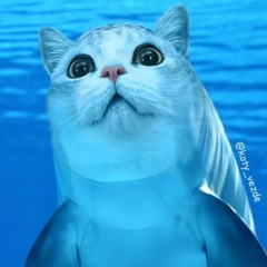 dream in which the cat became a dolphin [demo]