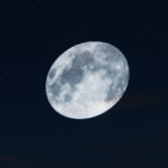 Malapetaka - Juicy Luicy(Cover)🐻‍❄️✨