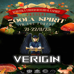 VERIGIN - Zoola Spirit - Party DJ Set 21.11.25