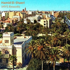 Hamid El-Shaeri x Vibes4YourSoul