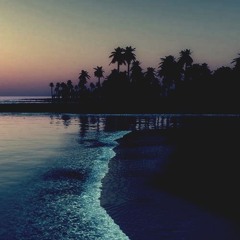 Amentacentials Vol. 2