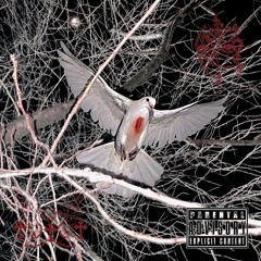 RORSHHAR-SNOW