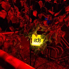 Pulse Radio #2 - ADE Special 2025