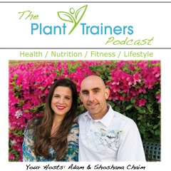 Healing Your Body with Brandy Gillmore - PTP494