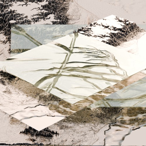 Tangerine - The Shape of Leaves [KINES01]