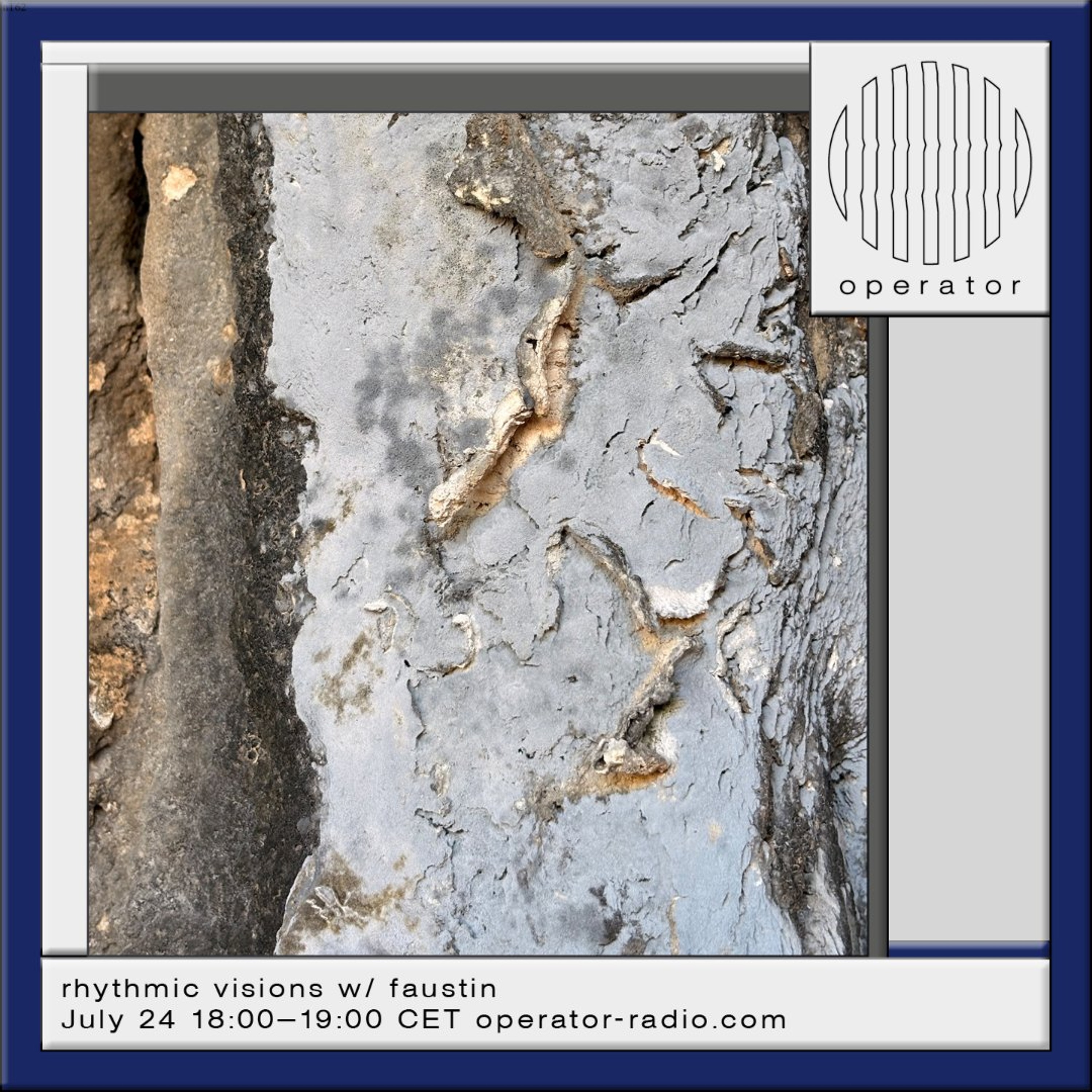 rhythmic visions w/ faustin - 24th July 2026 episode artwork