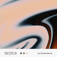 Perception from Nicolas Barnes