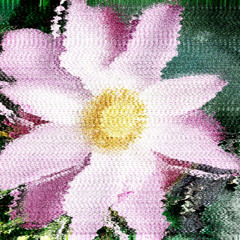 Pink Lotus (Sped up)