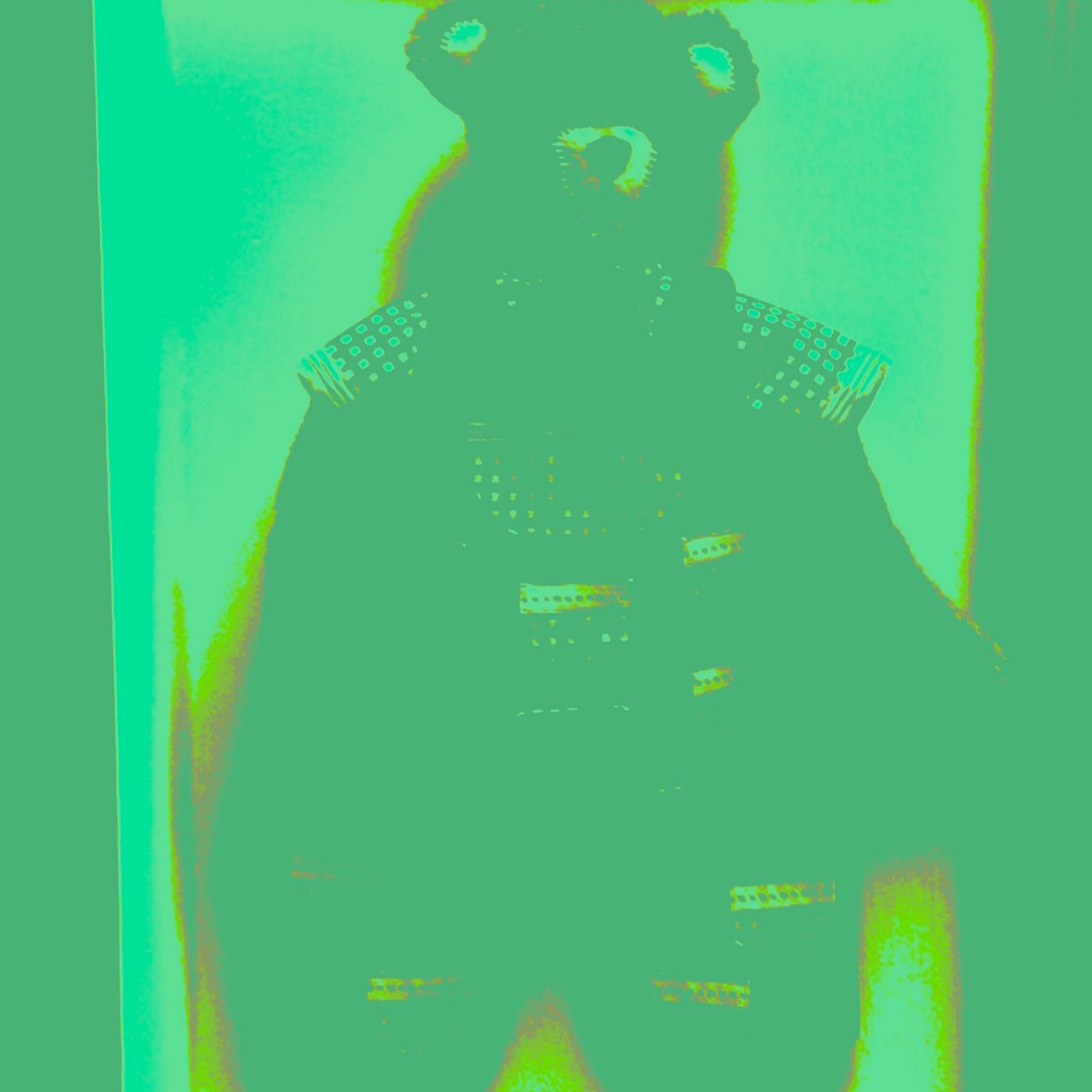 Teaganbear