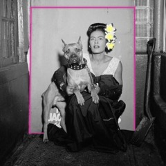Crazy Dog Lady