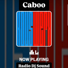 #148 Caboo Radio Dj SOUND Houswerx