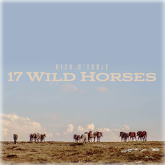 17 Wild Horses