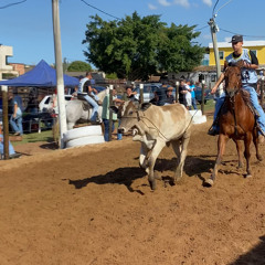 🤠