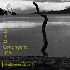 Is It All Contingent IM5