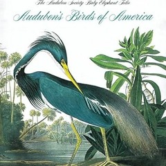 Get EBOOK EPUB KINDLE PDF Audubon's Birds Of America (Tiny Folio) by  Roger Tory Peterson 🖋️
