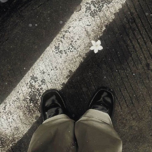 so fake (feat. irisgardnn)