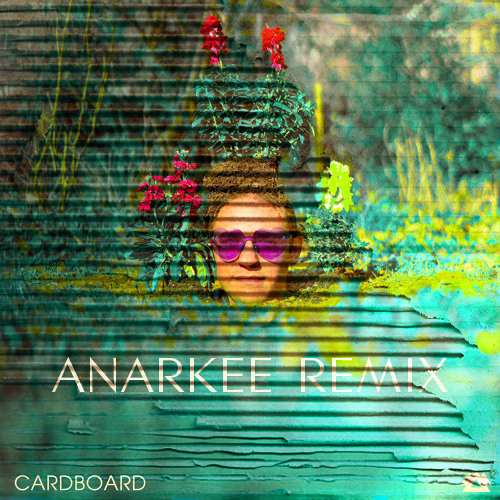 Toadface - Cardboard (ANARKEE REMIX)