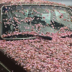 تعال - علي حجيج