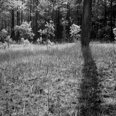 Floor Plan (Prod.1Wakeupp)