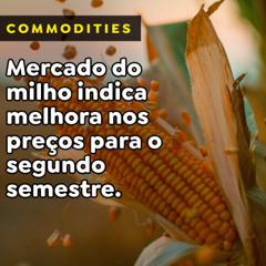 Mercado do milho indica melhora nos preços para o segundo semestre