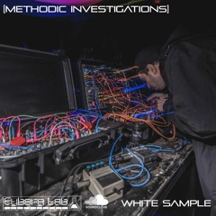 White Sample - [Methodic Investigations]