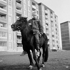 selvagem para a noite