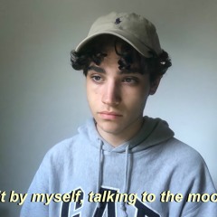 talking to the moon x the night we met (mashup cover)