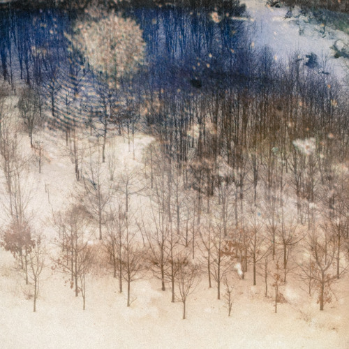 Looking at the Biserica.