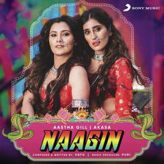 Naagin - Songs.pk