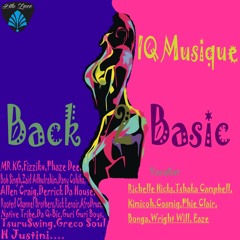 Back Again (IQ Musique Remix)
