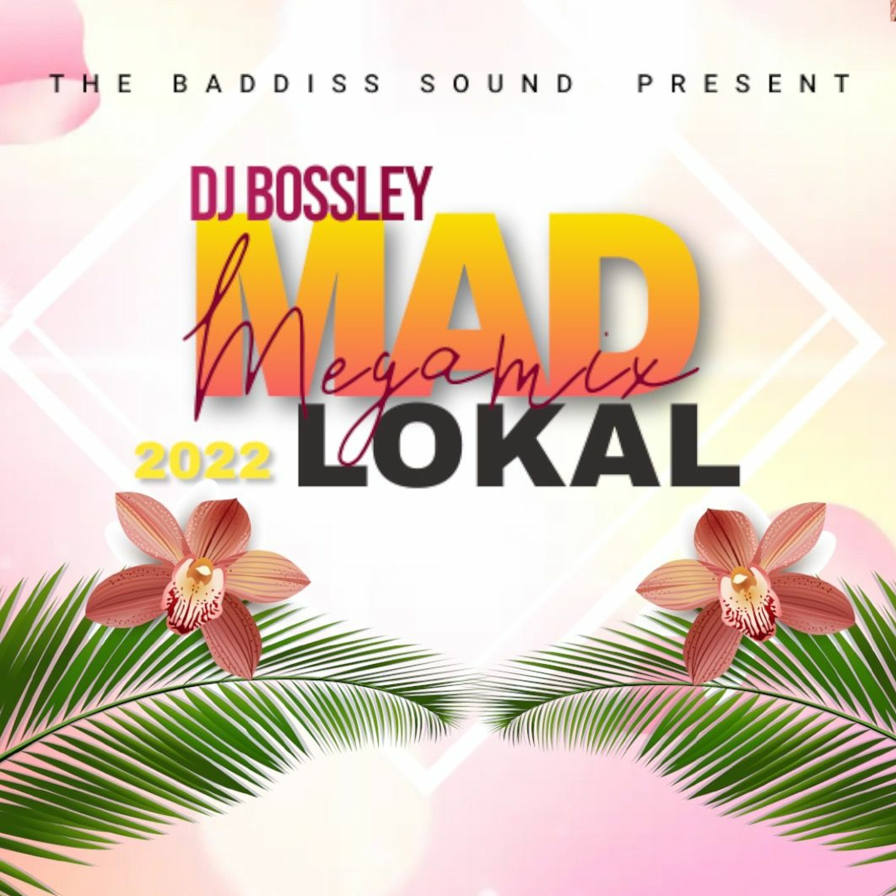 Dj bossley Baddiss Sound 2025