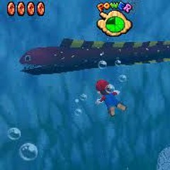 Water Level